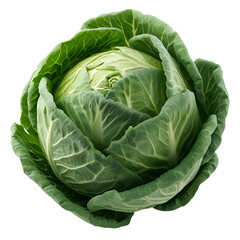 Fresh Cabbage: A close-up shot captures the vibrant green of a fresh, organically grown cabbage head, a testament to nature's bounty and culinary delight.
