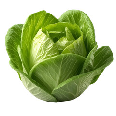 Fresh lettuce: A close-up shot of a crisp, vibrant green head of lettuce, showcasing the freshness and natural beauty of this versatile vegetable. 