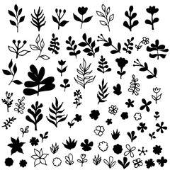 Collection of hand drawn botanical elements and leafy branches in black silhouette on white background