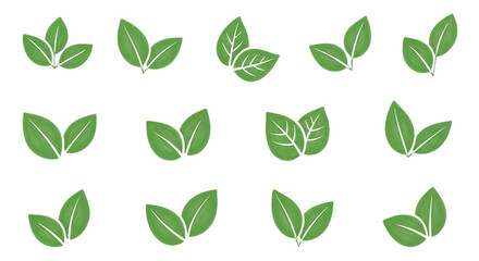Twelve green leaves isolated on transparent background showcasing various leaf shapes and structures