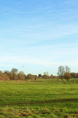 Fototapeta premium Wide green field under a clear blue sky, showing a serene rural landscape with distant trees and a contrail
