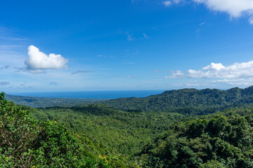 Grenada Landscape with Tropical, Untamed Jungle and Caribbean Sea