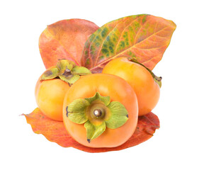 Fresh organic ripe persimmons fruits with yellow Leaves,isolated on white background.