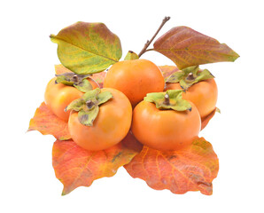 Fresh organic ripe persimmons fruits with yellow Leaves,isolated on white background.