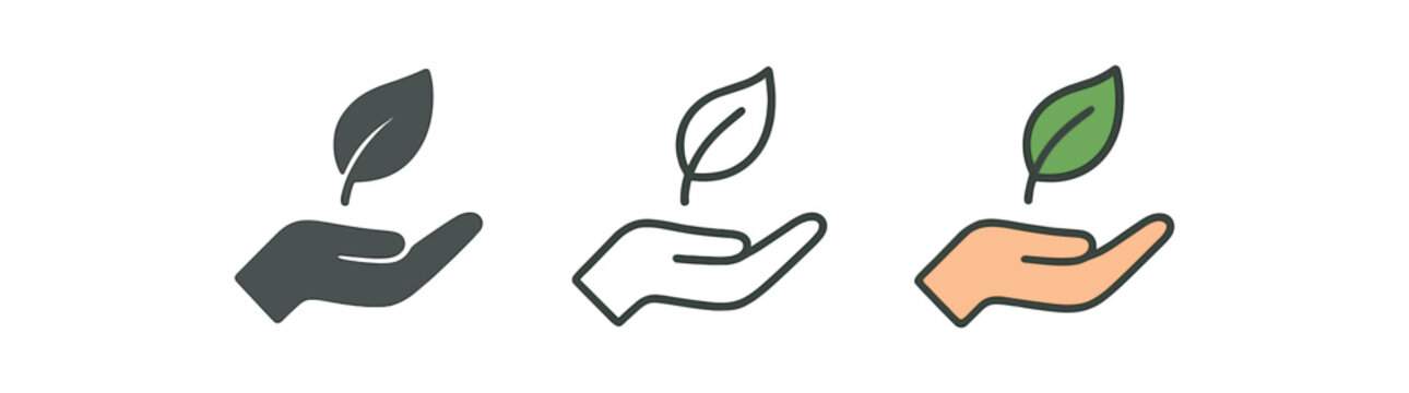 mindfulness single leaf floating above hand