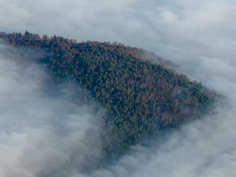Aerial view of a forest emerging from a sea of ethereal white clouds, an island of green and brown amidst the soft, boundless sky, Orschwiller, Grand Est, France.