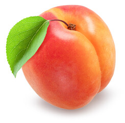 Ripe apricot with red side ang apricote leaf isolated on white background. File contains clipping path.