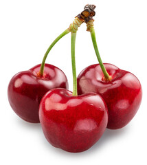 Three sweet cherries isolated on white background. File contains clipping paths.