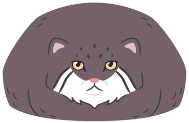 ふせをするマヌルネコ　イラスト素材