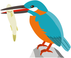 魚をとった野鳥のカワセミのイラスト素材