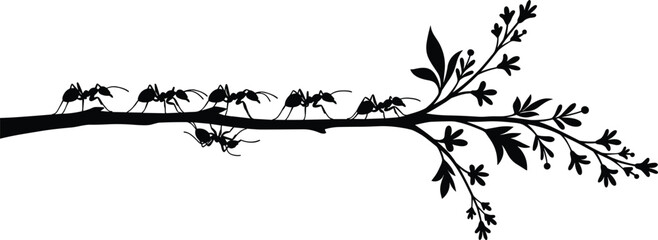 Ants on branch silhouette, black insect vector, nature teamwork illustration, leaves and twig composition, minimal decorative artwork, educational entomology graphic © MST
