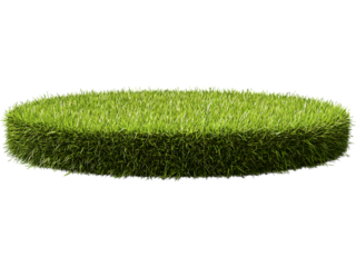 Thick green grass platform isolated on transparent background. Realistic base for eco, nature, and terrain visuals.