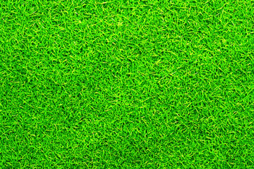 芝生背景素材　パターン　02