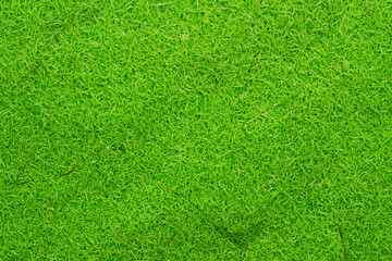 芝生背景素材　パターン　03