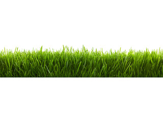 Naklejka premium Dense green grass strip isolated on transparent background. Realistic vegetation element for landscaping and environmental visuals.