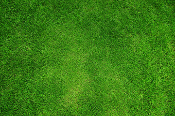 芝生背景素材　パターン　06