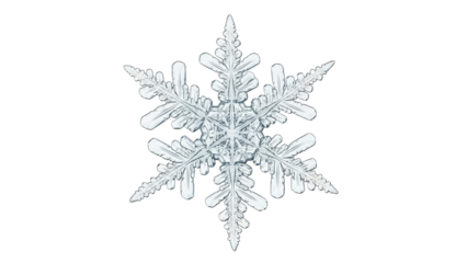 Isolated Macro Photograph of a Six-Pointed Snowflake, Ice Crystal Showing Intricate Detail