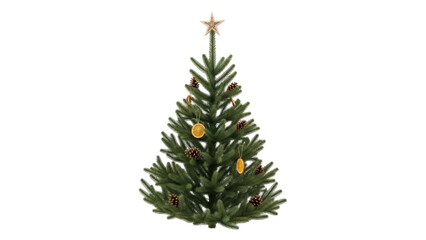 Isolated festive evergreen Christmas tree with ornaments and a star, holiday celebration