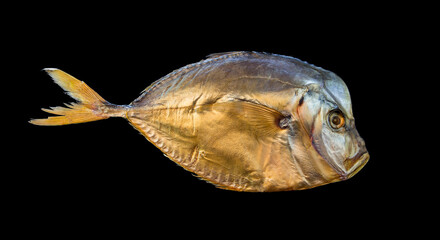 Vomero on a black background