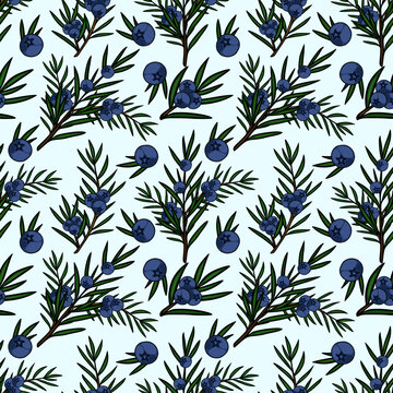 Seamless vector pattern of juniper branches with blue berries and needle-like leaves on a light blue background.