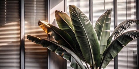 Green palm with reeded glass. Clean texture on stylish transparent background for premium look. White Reeded Glass. Ribbed Background. Cosmetic template on beautiful magazine decor. Plant leaves.