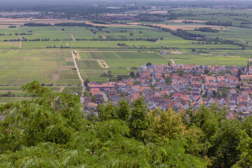 View of the vineyards surrounding Diedesfeld, a part of Neustadt an der Weinstrasse a touristic route through German vineyards