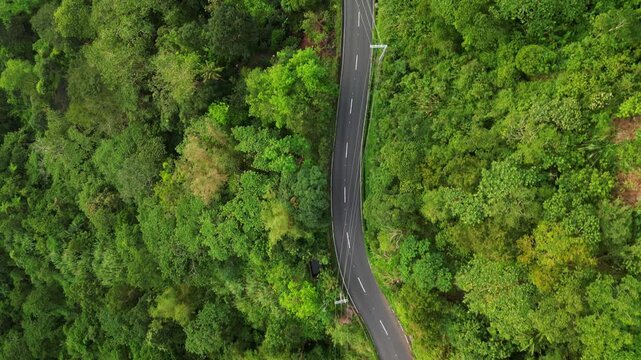 Aerial top-down view of curved cliffside road amid lush, mountainside greenery at Asin Road, Tuba, Benguet, Philippines.