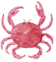Watercolor pink crab illustration - simple marine whimsical clipart suitable for seaside designs, children's books, stickers, and coastal decor.