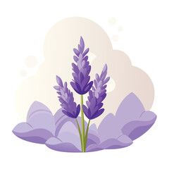 Illustration of three purple lavender flower spikes with green stems and leaves Keywords: lavender, flower, purple, plant, bloom, botanical