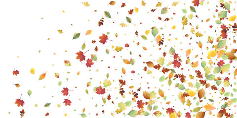 Leaves Falling Autumn Foliage Chaotic Leaf Flying