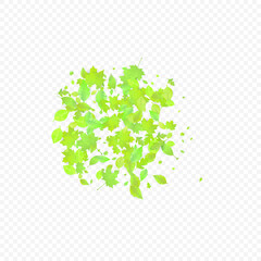 green eco background