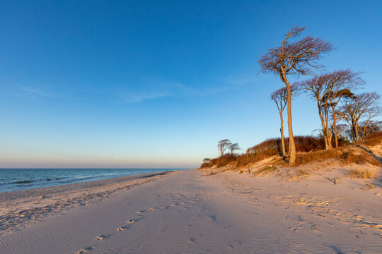Zum Sonnenuntergang im Dezember am Dar&szlig;er Weststrand.