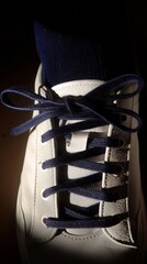 A tightly laced sneaker whispers the enigmatic spirit of Urban Streetwear Day and Lace-Knot Mastery Festival, shadowed elegance