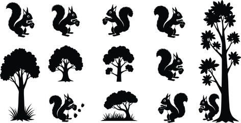 Squirrel and tree silhouettes, acorn poses, forest nature elements, wildlife scene, flat vector © Design_Pro