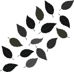 Scattered dark grey leaves with visible veins on a plain white background monochrome autumn