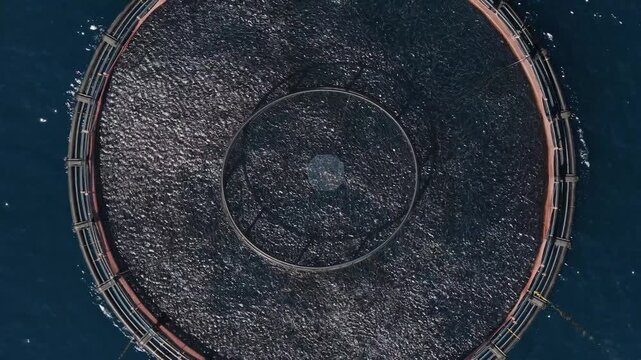 Aerial view of a circular fish farm contrasts with the deep blue sea, creating a striking visual pattern on the water, Ksamil, Vlore County, Albania.