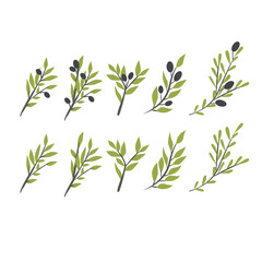 Flat minimalistic olive branch set with leaves and olives. Clean, modern vector botanical elements in a simple flat style, perfect for branding, packaging, logos, invitations, wedding design