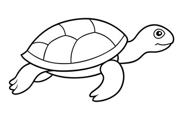 turtle line art white background 