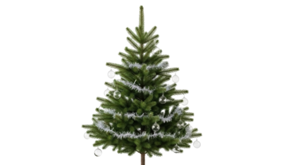 Isolated Christmas tree with decoration and tinsel for holiday season, festive mood