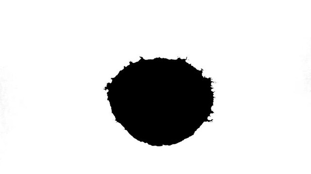 A single, dark, irregular ink blotch on a stark white background.