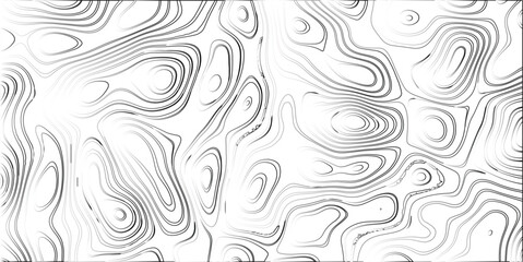 Black and white abstract topographic contour lines with a bright white gradient, forming a complex and organic background pattern