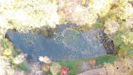 Aerial View of Autumn Forest Pond with Colorful Trees