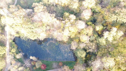Aerial View of Autumn Forest Pond with Colorful Trees