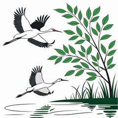 White storks swooping down toward green water with tree