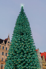 Christmas tree on old town market of Wroclaw. Poland, Europe