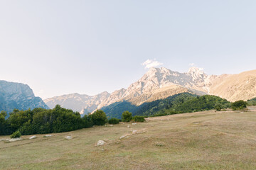 Naklejka premium Mountain meadow with grass and scattered shrub on rolling hill, distant rocky peak under clear sky. Wide landscape view for nature, travel, hiking and outdoor scenic scenery.