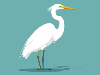 Obraz premium A graceful white egret with a long neck and yellow beak stands against a teal background.