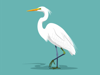Fototapeta premium A graceful white egret stands on one leg against a teal background, casting a shadow.