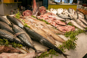 fishmonger Porto Cesareo Salento seaport in Puglia tourist center