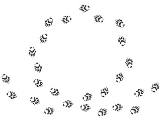 Footprints of Animal, Traces of a wolverine on white background. Wolverine silhouette animal circle tracks. Paw Print. Vector illustration. EPS10.